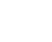 Api topicon